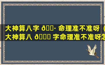 大神算八字 🕷 命理准不准呀（大神算八 🐝 字命理准不准呀怎么看）